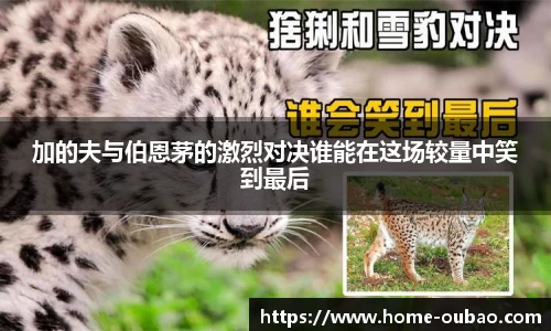 加的夫与伯恩茅的激烈对决谁能在这场较量中笑到最后